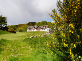 Eucabeth Ndeso Classes